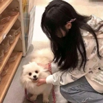 凡人问仙内购破解版下载
